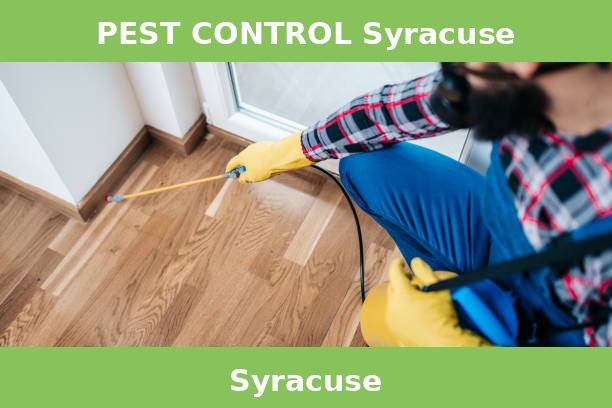 PEST CONTROL Syracuse